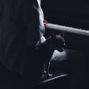 favorite_song